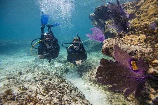 PADI_Bimini_Jan_2017_2649 PADI_Bimini_Jan_2017_2649