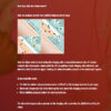 Safe Sea Anti-Jellyfish Sting Protective SPF50+ Sunscreen Lotion 防水母螫傷SPF50+防曬乳太陽油(海洋友善配方) - Image 12