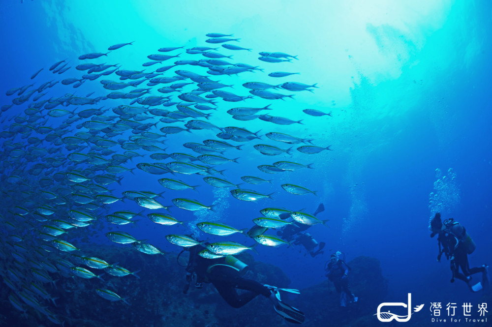 龜島潛水 Koh Tao Diving30