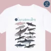 【泰國品牌】Sea Friends T-Shirt 海洋朋友 T-shirt 海洋動物衣服 | Tee 恤 - Image 18