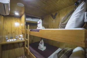 最值套房 Budget Cabin  (Sawadee)